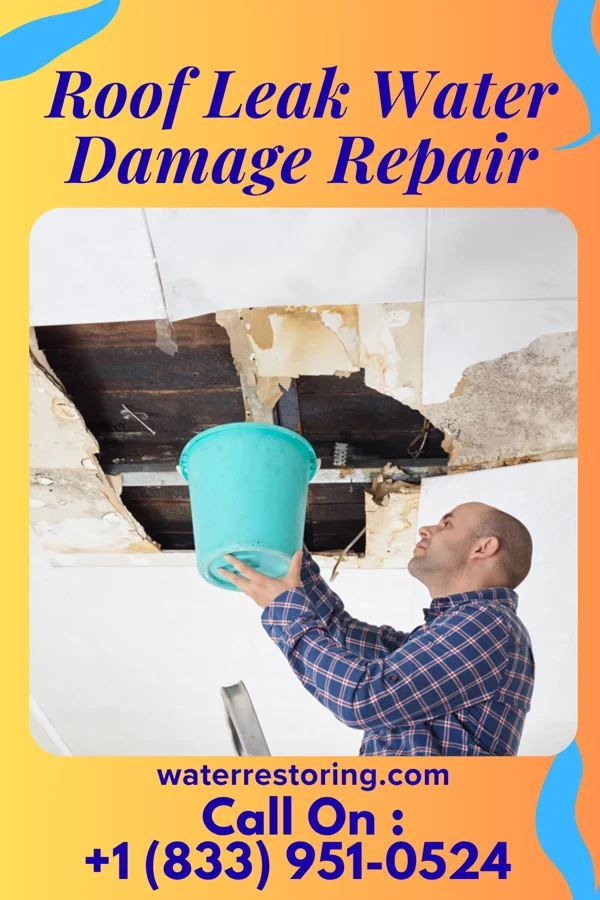 Roof Leak Water Damage Repair in Van Wert, IA